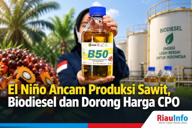 El Niño Ancam Produksi Sawit, Biodiesel dan Dorong Harga CPO 