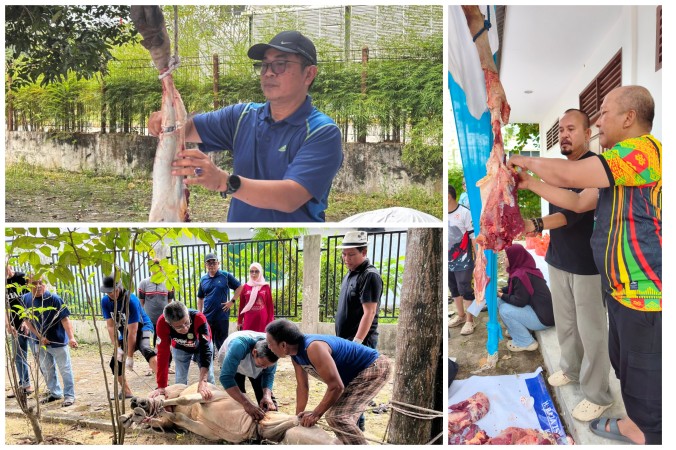 PWI Riau Sembelih 6 Sapi dan 1 Kambing Kurban, Wujud Kepedulian dan Kebersamaan