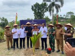Imigrasi Pekanbaru Tanam Ratusan Pohon Kelapa, Dukung Ketahanan Pangan Nasional dan Lestarikan Lingkungan