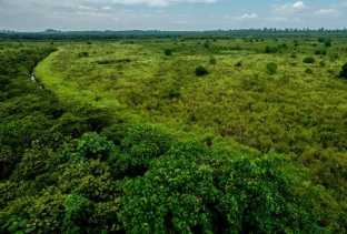 Penyelesaian Perkebunan Sawit Yang Diklaim Masuk Kawasan Hutan Tidak Ada Pidana Korupsi
