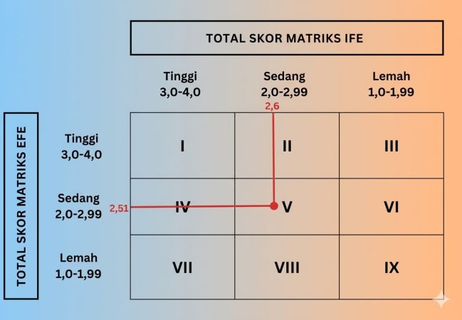 Apa Itu Matriks EFE (External Factor Evaluation) dan IFE (Internal Factor Evaluation)?