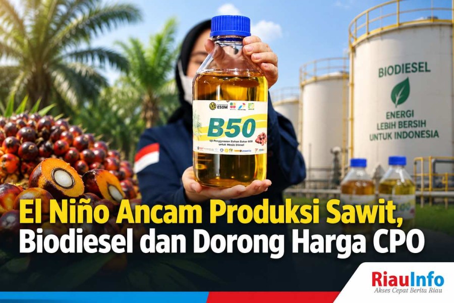 El Niño Ancam Produksi Sawit, Biodiesel dan Dorong Harga CPO 
