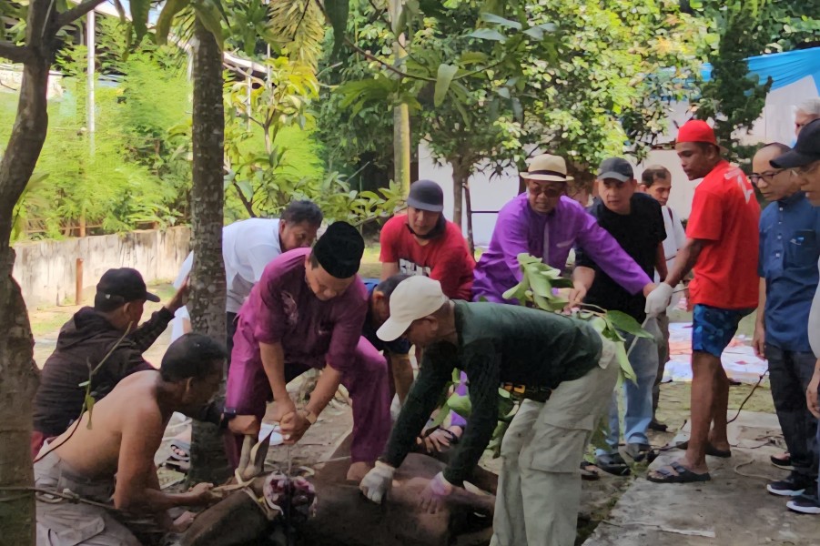 Semangat Berkurban dan Berbagi di Idul Adha, PWI Riau sembelih 5 Sapi dan 2 Kambing