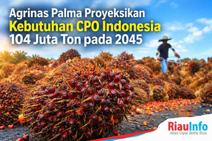 Agrinas Palma Proyeksikan Kebutuhan CPO Indonesia 104 Juta Ton pada 2045