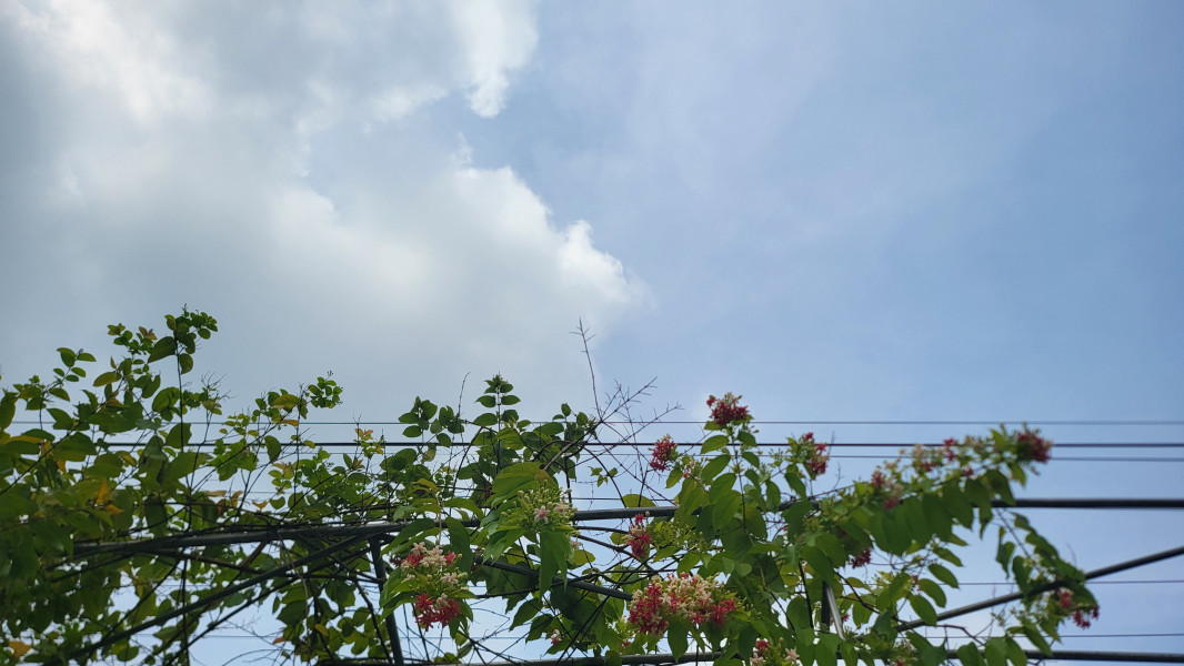Kabut Pagi dan Hujan Petir Sore, Pekanbaru Hadapi Variasi Cuaca Sabtu Ini