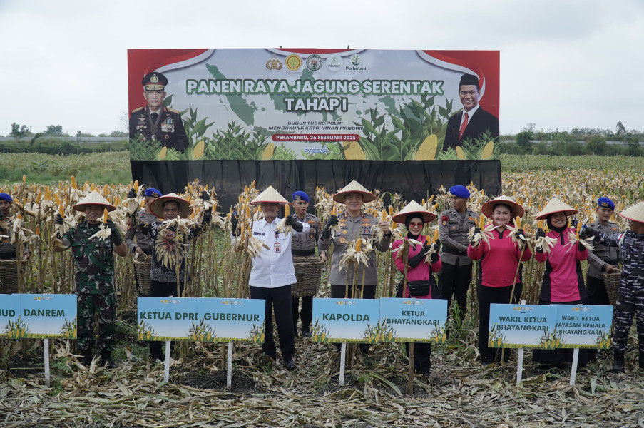 Panen Raya Tahap I Polda Riau Tembus 156,6 Ton Jagung Pipil