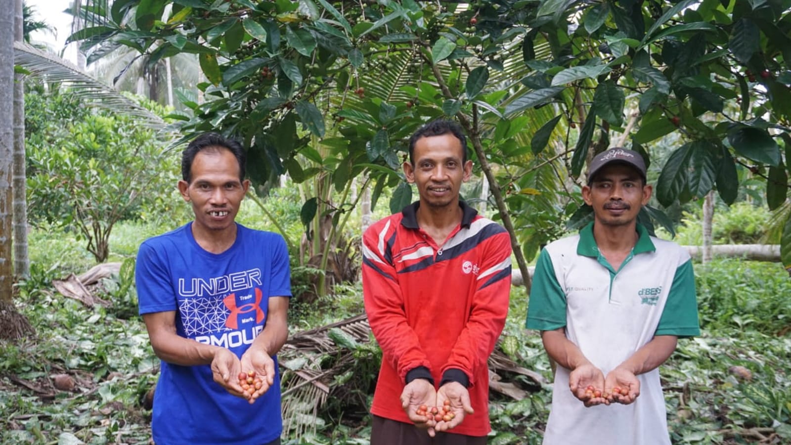 Membangkitkan Aroma Liberica di Negeri Seribu Parit