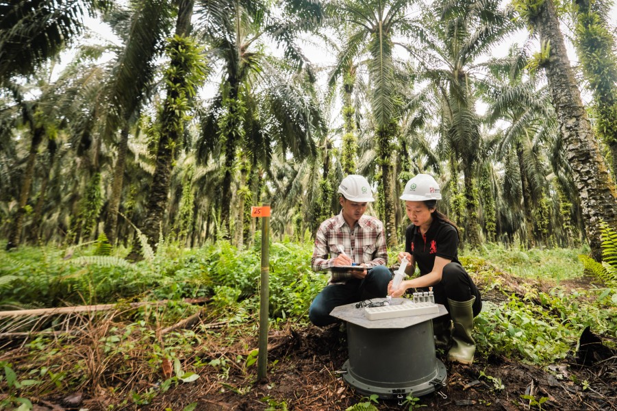 Raih Kesempatan Belajar dan Berkarier bersama Beasiswa Sinar Mas Agribusiness and Food 2024