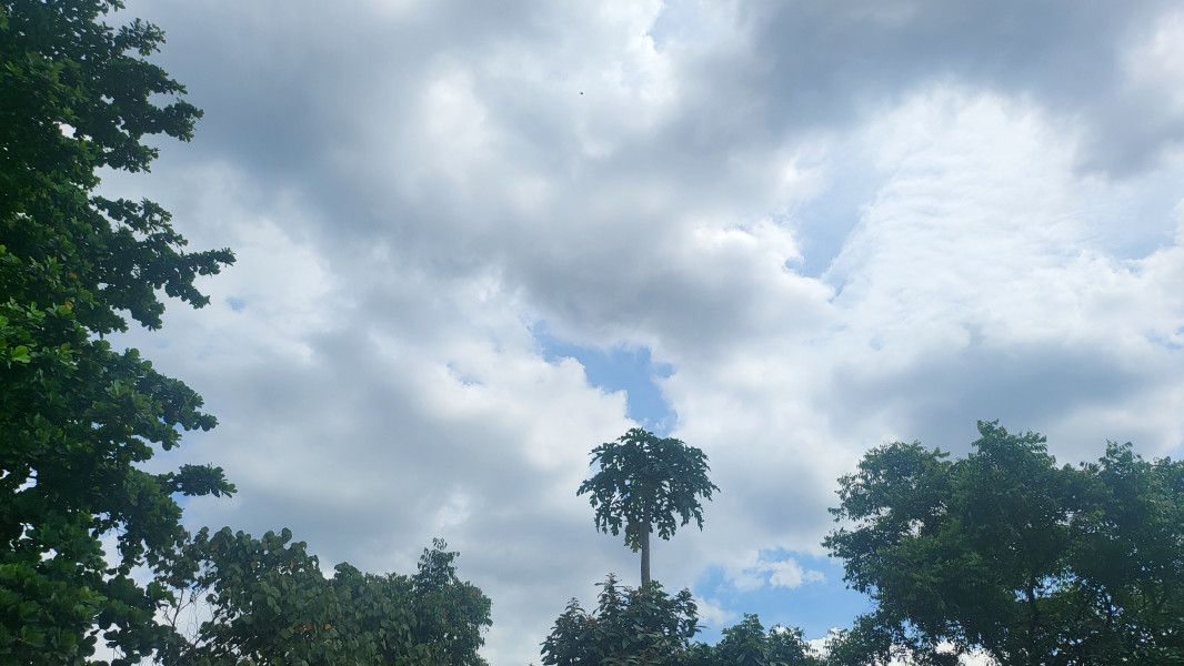 Update Cuaca Pekanbaru Hari ini: Pagi Cerah Sore Gerimis Ringan