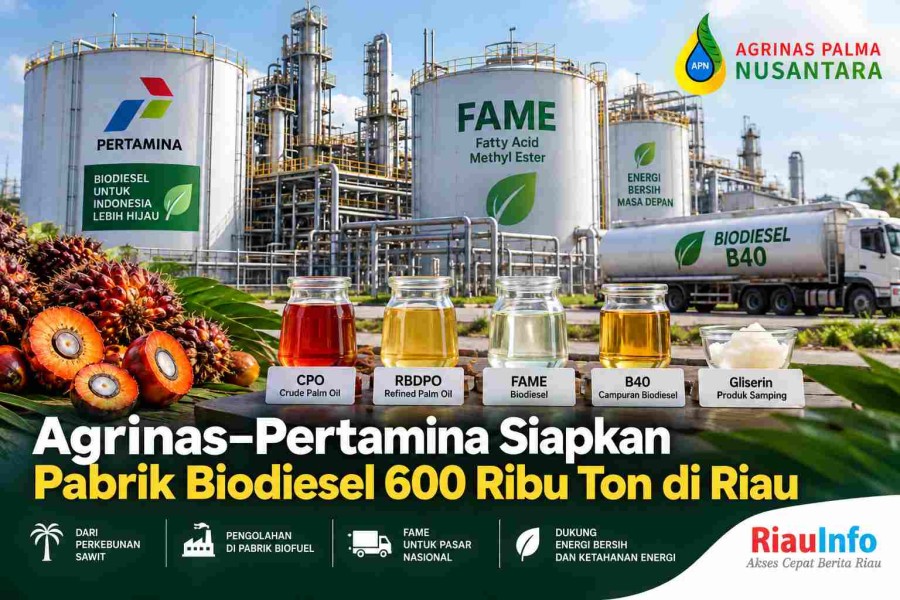 Agrinas–Pertamina Siapkan Pabrik Biodiesel 600 Ribu Ton di Riau 