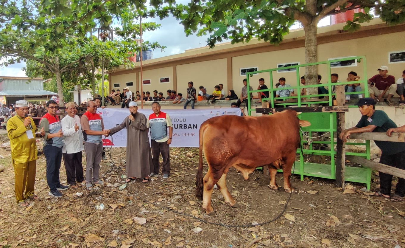 Keluarga Besar PHR Sebar 124 Sapi dan 65 Kambing untuk Kurban, Disalurkan ke Masyarakat Rokan