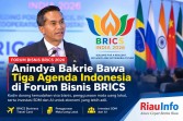 Anindya Bakrie Bawa Tiga Agenda Indonesia di Forum Bisnis BRICS 