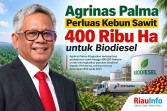 Agrinas Palma Perluas Kebun Sawit 400 Ribu Ha untuk Biodiesel 