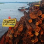 Greenpeace Kembali Menghentikan Perusakan Hutan Alam Kampar