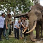 Gubernur Riau kunjungi Taman Nasional Tesso Nilo (TNTN) di Kab Pelalawan Prov Riau