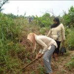 LKD Segati Lakukan Penghijauan di Areal Konservasi Riaupulp Sektor Langgam 