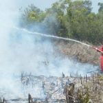 Kebakaran Hutan dan Lahan Kembali Landa Riau
